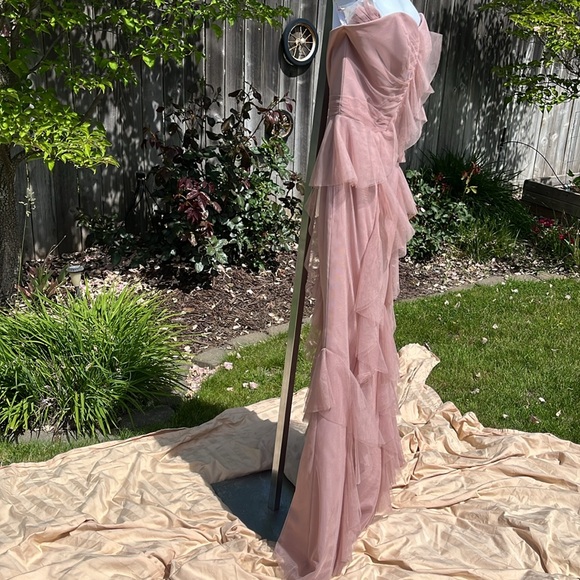 NWT Alfred Angelo Formal Evening Gown Blush Tulle Ruffle Maxi Sz 10 - Picture 6 of 14